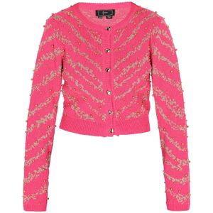 faina Gebreid vest  groen / pink / zilver