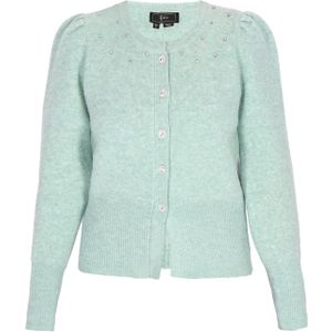 faina Gebreid vest  lichtgroen