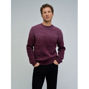 Salsa Jeans Trui  bordeaux