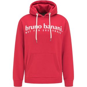 Bruno Banani Sweatshirt 'Young'  grenadine / wit