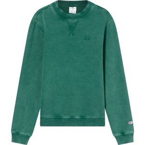 Champion Authentic Athletic Apparel Sweatshirt  groen