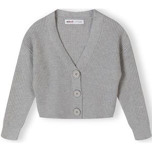 MINOTI Gebreid vest  grijs
