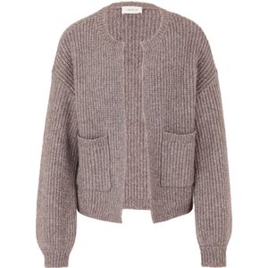 Cartoon Gebreid vest  aubergine