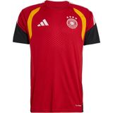 ADIDAS PERFORMANCE Tricot 'DFB TR JSY'  rood