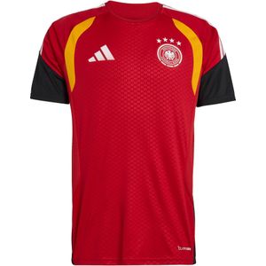 ADIDAS PERFORMANCE Tricot 'DFB TR JSY'  rood