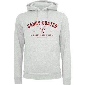 F4NT4STIC Sweatshirt 'Weihnachten '  grijs / wijnrood / wit