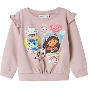 NAME IT Sweatshirt  gemengde kleuren / purper