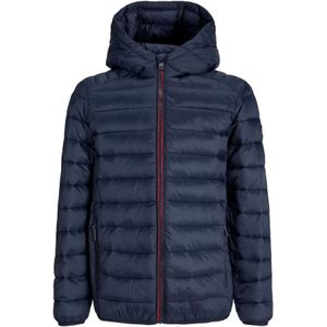 Jack & Jones - BRADLEY - Gewatteerd Jack - Met Capuchon