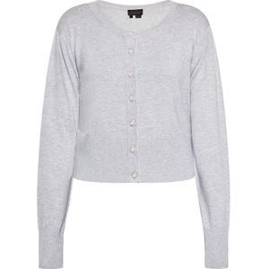 NAEMI Gebreid vest  grijs gemêleerd