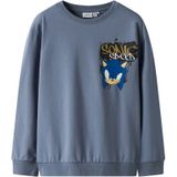 Sonic Sweatshirt