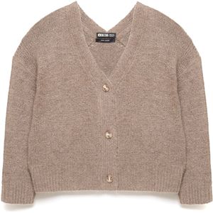 BIG STAR Gebreid vest ' KARDILA '  mokka