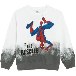 Cool Club Sweatshirt  blauw / grijs / rood / wit
