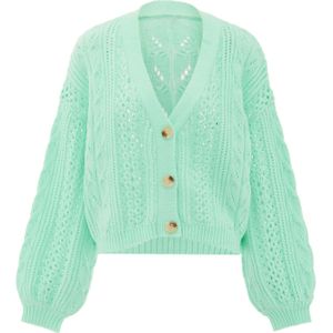 aleva Gebreid vest  mintgroen