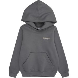 JACK & JONES MINI Sweatshirt 'JORIslington'  grijs / lichtgrijs / wit