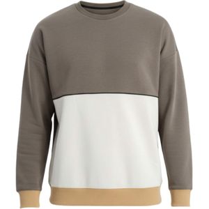 Ombre Sweatshirt  beige / grijs / wit