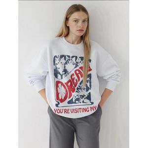 Hiccup Sweatshirt  marine / rood / eierschaal