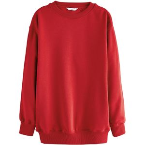 Next Sweatshirt 'Essentials'  kersrood