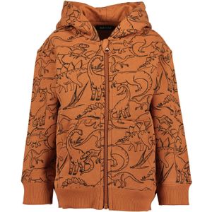 Blue Seven - Capuchonsweatvest - Koper - Voor Dino-fans