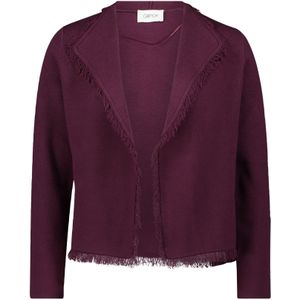 Cartoon Gebreid vest  aubergine