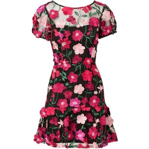 Adrianna Papell Cocktailjurk 'Embroidered Flounce'  gemengde kleuren / zwart