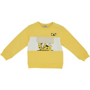 Panço Sweatshirt  geel / grijs / lichtgrijs / zwart