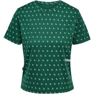 Hummel Functioneel shirt 'Pulse Workout'  mintgroen / donkergroen