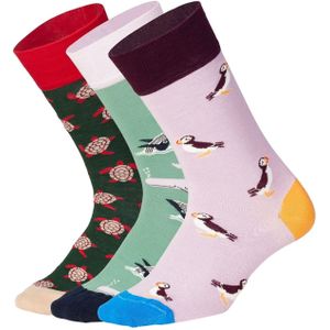 DillySocks Sokken 'Ocean Enthusiasts'  blauw / pastelgroen / lila / rood