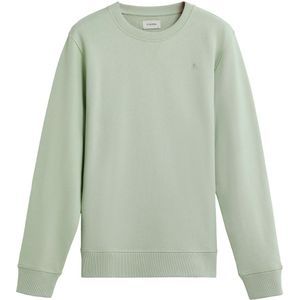 Scalpers Sweatshirt ' '  groen / lichtgroen