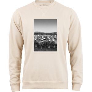 Cotton Prime Sweatshirt 'Schafe'  ivoor / zwart / wit
