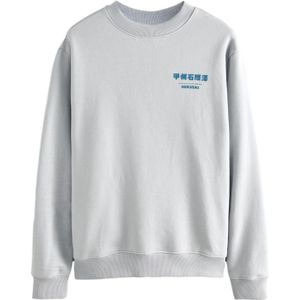Next Sweatshirt  cyaan blauw / grijs / grafiet / wit