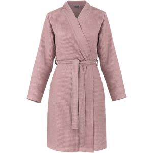 normani Ochtendjas 'Manisa'  oudroze