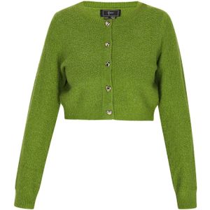 faina Gebreid vest  groen