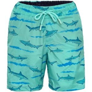 Daniel Hills Zwemshorts  navy / turquoise / azuur