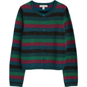 Seasalt Cornwall Gebreid vest  groen / petrol / bessen / zwart