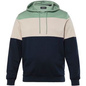 Men Plus Sweatshirt  beige / navy / groen
