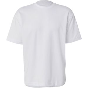 HOLLISTER Shirt  wit