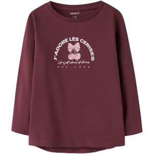 NAME IT Shirt 'NMFVIX'  rosa / robijnrood / wit