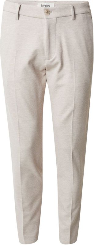 DRYKORN Pantalon 'AJEND 10'  taupe