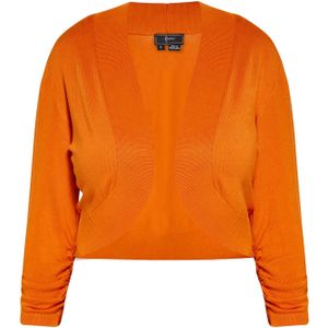 faina Gebreid vest  kreeft