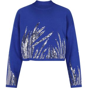 faina Trui  blauw / zilver