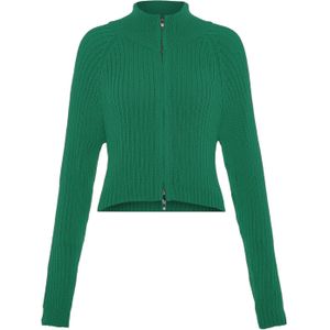 Libbi Gebreid vest  groen