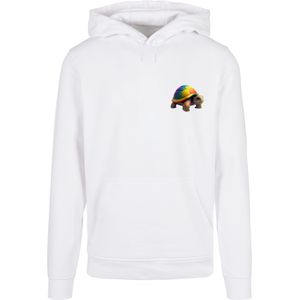 F4NT4STIC Sweatshirt 'Rainbow Turtle'  gemengde kleuren / wit
