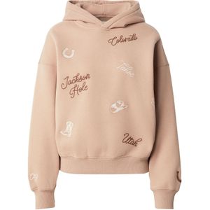 Abercrombie & Fitch Sweatshirt  bruin / cappuccino / wit