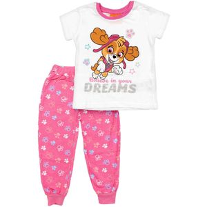 PAW Patrol Nachtkledij  bruin / grijs / zilver / wit