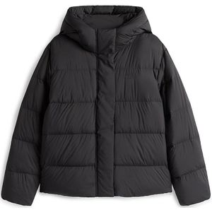 TOMMY HILFIGER Winterjas  zwart