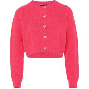 aleva Gebreid vest  pink