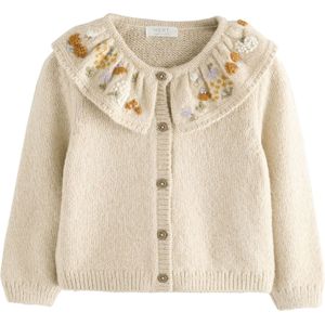 Next Gebreid vest  ecru / pueblo / lavendel / wit
