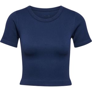 Hummel Functioneel shirt 'Pulse'  blauw