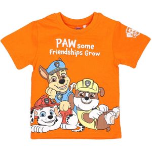 PAW Patrol Shirt 'Paw Patrol'  hemelsblauw / bruin / oranje / wit
