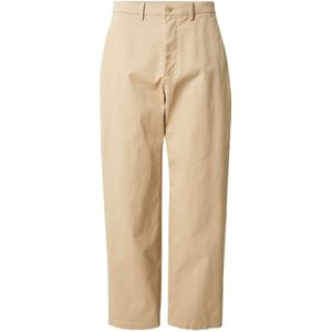 GAP Chino  kaki